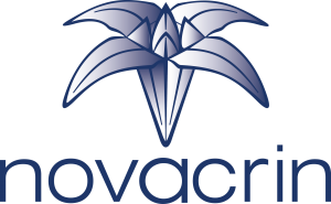 Avada Agency